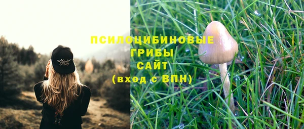 соль ск Балабаново