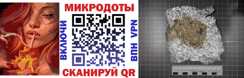 Галлюциногенные грибы Psilocybe  как найти   Баксан 