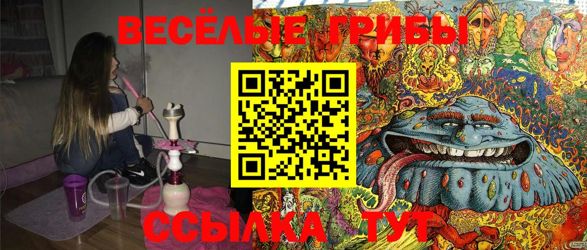Псилоцибиновые грибы мицелий Баксан